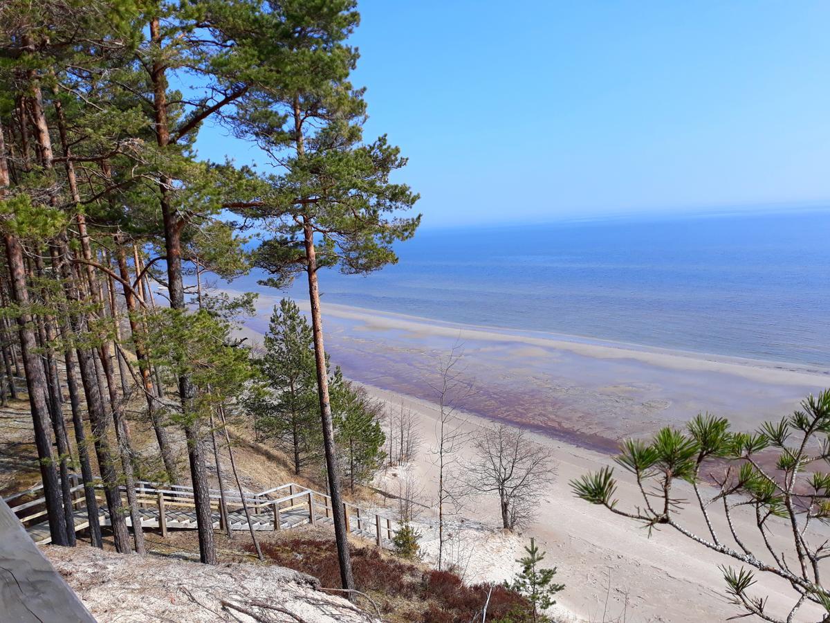 Atputas Vieta Braltirumi Purciems Kültér fotó